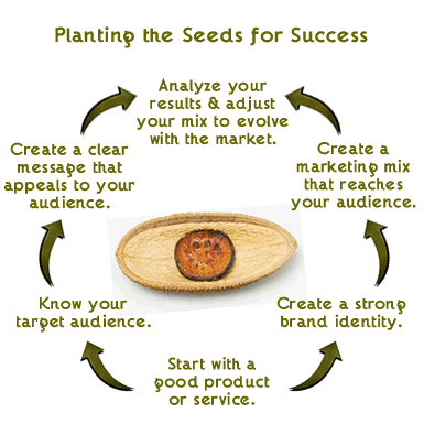 seeds for success marketing
